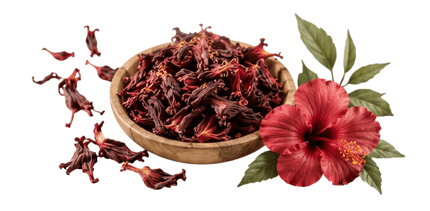 Authentic pure botanicals of Hibiscus Flower Tea